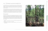 3.3. Zonificación forestal - sema.gob.mx · En esta categoría también se encuentran integradas aquellas áreas con ecosistemas de alto riesgo ecológico como el bosque mesófilo,