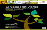 El Cooperativismo - agroalimentariasclm.coop · 6 El tejido asociativo agrario En este informe se ha analizado más del 84% del cooperativismo agroalimentario de nuestra región.
