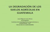LA DEGRADACIÓN DE LOS SUELOS AGRÍCOLAS EN GUATEMALA …iia.fausac.gt/wp-content/uploads/2016/08/Degradacion_suelos_Guatemala.pdf · cual acelera la perdida de los suelos agrícolas.