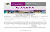 DGIRA/038/12 SEMARNAT/DGIRA E I R A E P A R M I A PEIA ...sinat.semarnat.gob.mx/Gacetas/archivos2012/gaceta_38-12.pdf · hidrometalurgia mia.-particular 13-ago-12 elementos que integran
