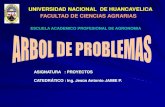 UNIVERSIDAD NACIONAL DE HUANCAVELICA FACULTAD DE … · arbol de problemas: elaboracion 1. identificar los principales problemas de la situacion analizada 2. formular el problema