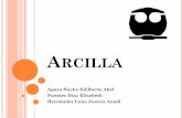 Arcilla - [DePa] Departamento de Programas Audiovisualesdepa.fquim.unam.mx/amyd/archivero/Pres_arcillas_29323.pdf · ¿QUÉ ES LA ARCILLA? Es un material granuloso muy fino, formado
