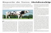 Flash - bas-sl.com fileReporte de Toros: Heidenskip Goldday: En Alemania, el nombre se asocia con una de las primeras estrellas del segmento emergente de los toros jóvenes genómicos.