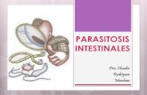 PARASITOSIS INTESTINALES - ioreza.webnode.es · GIARDIASIS AMEBIASIS ENTEROBIASIS U OXIURIASIS ASCARIASIS TENIASIS Y CISTICERCOSIS. GIARDIASIS Parasitosis producida por un protozoo