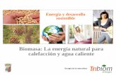 Biomasa: La energía natural para calefacción y agua caliente · Biomasa: Energía de la naturaleza Fuentes de la Biomasa Biomasa forestal Biomasa residual Cultivos energéticos