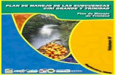 Plan de manejo para las subcuencas de los ríos Cirí Grande ... · Informe final vii SIGLAS UTILIZADAS ACP Autoridad del Canal de Panamá ANAM Autoridad Nacional del Ambiente de