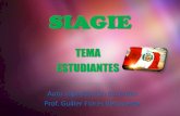 Presentación de PowerPoint - files.redes-de ...files.redes-de-autocapacitacion-2013.webnode.es/200000046-0e8000f79b... · SIAGIE Auto capacitación docentes Prof. Guiller Flores