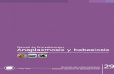  · Dirección Nacional de Sanidad Animal Dirección de Luchas Sanitarias Mayo 2004 29 Manual de Procedimientos Anaplasmosis y babesiosis