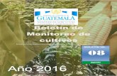 Boletín de Monitoreo de cultivos - precios.maga.gob.gt Boletín SMC - Agosto - 2016.pdf · plagas en diferentes departamentos; Chiquimula, Jalapa, El Progreso, Quiché, Huehuetenango,