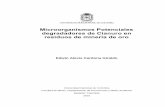 Microorganismos Potenciales degradadores de Cianuro en ...bdigital.unal.edu.co/51440/1/75108346.2016.pdf · de microorganismos degradadores de cianuro, como posible alternativa en