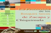 contenido Bosques Secos 1 de Zacapa y Chiquimula · de recuperación de especies nativas de la zona, así como también poder dar un valor económico para incentivar su protección.