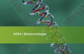 ADN i Biotecnologia - biolulia.files.wordpress.com · 7. BIOTECNOLOGIA Involucra diverses disciplines i ciències (biologia, bioquímica, genètica, virología, agronomía, enginyeria,