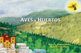 AVES y HUERTOS - patrimoniobiocultural.compatrimoniobiocultural.com/archivos/publicaciones/libros/Aves_y_Huertos... · Las diversidades ornitológica, cultural y agro-ornitológica