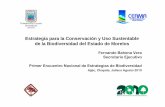 Estrategia para la Conservación y Uso Sustentable de la ... · i) Participación ciudadana en la conservación y manejo de la biodiversidad.manejo de la biodiversidad. j) Privilegiar