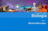 Biomoléculas - preudd.udd.cl fileBiomoléculas Clase. CRITERIO DE CLASIFICACIÓN PROTEÍNAS Elementos principales C, H, O, N, S Unidades básicas de construcción (monómeros) Aminoácidos