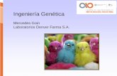 Mercedes Goin Laboratorios Denver Farma S.A.biotecnologiaindustrial.fcen.uba.ar/wp-content/uploads/2010/04/E4a... · Eucariontes: Metilasas de sitios mCG. Los patrones son tejido