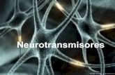 Neurotransmisores - untutorparati.comuntutorparati.com/archivos/3-neurotransmisores.pdf · Los Neurotransmisores • Son sustancias químicas que se encargan de la transmisión de