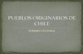 PUEBLOS ORIGINARIOS DE CHILE - secst.cl · norte de nuestro largo Chile, desde Arica al Río Choapa, alcanzando algunos grupos hasta la zona del Aconcagua. Iquique fue el lugar donde