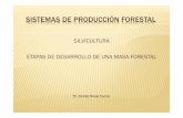 SISTEMAS DE PRODUCCIÓN FORESTAL - Daniel Rivas de producciÓn forestal silvicultura etapas de desarrollo de una masa forestal dr, daniel rivas torres