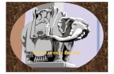 Gian Lorenzo Bernini - amnesiainternational.net · Daniel y el león. Tumba del Papa Urbano VIII. La escultura de la Fuente de los Cuatro Ríos, se encuentra en la Piazza Navona de