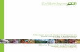 Estándares para el Diseño de Proyectos de Clima, Comunidad ... · Committee), Jeffrey Hayward (Rainforest Alliance), Jenny Henman y Michael Parsons (Sustainable Forestry Management),