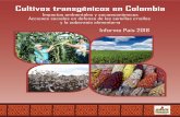 Cultivos transgénicos en Colombia - semillas.org.co · Cultivos transgénicos en Colombia Cultivos transgénicos en Colombia Informe País 2018 Las tecnologías transgénicas no