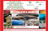 región INSULAR - cuyabenolodge.com · do las partes más bajas de las islas (Zielgler 1995). Existen tres zonas ecológicas en Galápagos. La primera es la zona costera caracterizada