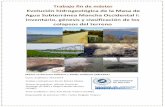 Evolución hidrogeológica de la Masa de Agua Subterránea ...cehiuma.uma.es/TFM_Sobresaliente1.pdf · de colapsos en karst ha sido en la zona del valle del Ebro, en concreto en Zaragoza