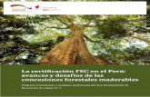 La certificación FSC en el Perú: avances y desafíos de las ... · Caracterización de los actores de la cadena productiva 11 1.1. El Forest Stewardship Council (FSC) 12 8 8 os
