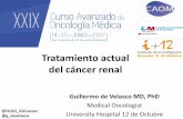 Tratamiento actual del cáncer renal - doctaforum.com 9.1.pdf · Tratamiento actual del cáncer renal Guillermo de Velasco MD, PhD Medical Oncologist @H12O_GUCancer. University Hospital