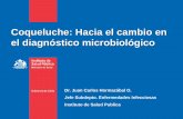 Coqueluche: Hacia el cambio en el diagnóstico microbiológico · Se utiliza rutinariamente para el diagnóstico de tos ferina principalmente en Europa y Australia, Desde el punto