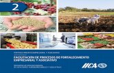 FACILITACIÓN DE PROCESOS DE FORTALECIMIENTO …repositorio.iica.int/bitstream/11324/7042/1/BVE18040202e.pdf · 2 IICA Instituto Interamericano de Cooperación para la Agricultura