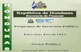 Programa de Inversión Pública U R A Sector Público · prioridades del Gobierno 2010-2014. A pesar del comportamiento positivo de la inversión pública, es oportuno mencionar que