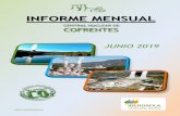 INFORME MENSUAL - cncofrentes.es. Informe... · Informe mensual CN Cofrentes (junio 2019) 3 1. FUNCIONAMIENTO 1.1. Producción mensual El presente informe recoge, de manera resumida,
