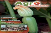 Número 11 Octubre - Agro Excelenciaagroexcelencia.com/volumenes/AgroExcelencia-Volumen-011.pdf · Agro Excelencia Octubre - Noviembre de 2016 Al aplicar un insecticida siempre se