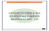 LAS ENFERMEDADES MODULO NO. 10 · LAS ENFERMEDADES MODULO NO. 10 INSTITUTO DE TERAPIAS ALTERNATIVAS VIDA SANA / DERECHOS RESERVADOS / LAS ENFERMEDADES INSTITUTO DE TERAPIAS ALTERNATIVAS