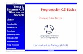 1 de 21 Tema 6. Sistemas C/S Programación C/S Básica ...eat/courses/cdd-contents/sockets.pdf · Introducción Sistemas C/S Primitivas Familias y Tipos C/S sobre TCP C/S sobre UDP