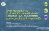 Guías Prácticas en la Implantación de Auditorías de ...prltap.org/.../11/...de-Auditorías-de-Carreteras_Noviembre_3-5_2015.pdf · Finalización del diseño preliminar Finalización