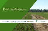 Desarrollo de herramientas biotecnológicas · forestal del país, tanto por la superficie plantada, como por las industrias asociadas y además, la mayor producción de plantas de