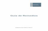 Guía de Remedios - fne.gob.cl · 3 PRESENTACIÓN La normativa de libre competencia chilena, contenida en el Decreto Ley N° 211 de 1973 (“DL 211”) incorporó mediante la ley