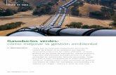 Gasoductos verdes: cómo mejorar la gestión ambientalbiblioteca.iapg.org.ar/ArchivosAdjuntos/Petrotecnia/2006-1/Gasoductos... · grupo industrial Maccaferri. De 1985 a 1987 trabajó