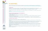 CARTEL - congresos.uaslp.mxcongresos.uaslp.mx/encuentrotutorias/Documents/CARTEL.pdf · •Introducción, que describa sintéticamente el objetivo y elementos centrales del Cartel.