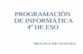 Programación de Informática – 4º de ESO CC Vicent e Medina ...ccvicentemedina.es/Programaciones/secundaria/informatica/informatica.pdfProgramación de Informática – 4º de