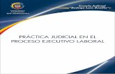 PRÁCTICA JUDICIAL EN EL PROCESO EJECUTIVO LABORAL · El Módulo de Práctica Judicial en el Proceso Ejecutivo Laboral que se presenta a continuación, responde a la modalidad de