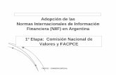 Adopción de las Normas Internacionales de Información ...cpcesla.org.ar/doc/act/cur/jdfp/conferencia_comision_especial_junio_09...en proceso de tomar las NIIF-NIC con modalidades