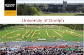 University of Guelph - opened.uoguelph.ca · • Contabilidad • Mercadeo • Administración de Pequeñas Empresas • Espíritu empresarial Licenciaturas con experiencia laboral.