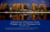 Estancia Peuma Hue Magia en la Patagoniaargentinambiental.com/wp-content/uploads/pdf/AA49-108-Estancia_Peuma... · en la vida de las personas; abriendo nuevas po-sibilidades y aprendizajes,