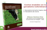Costos modales en la ganadería Colombiana · • Se evidenció una gran brecha técnica y económica entre la finca modal y las fincas exitosas, en términos de productividad (Lts/ha/año),