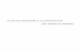PLAN DE ATENCIÓN A LA DIVERSIDAD CRA SIERRA DE PINAREScrasierradepinares.centros.educa.jcyl.es/...a...diversidad_2018-2019_1.pdf · EVALUACIÓN INICIAL, ... - ORDEN EDU/865/2009,