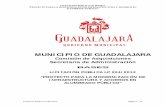 MUNICIPIO DE GUADALAJARA · de Alumbrado Publico del Municipio de Guadalajara. Elaboración de todos y cada uno de los Proyectos Ejecutivos de los circuitos, incluyendo plano en AutoCAD,